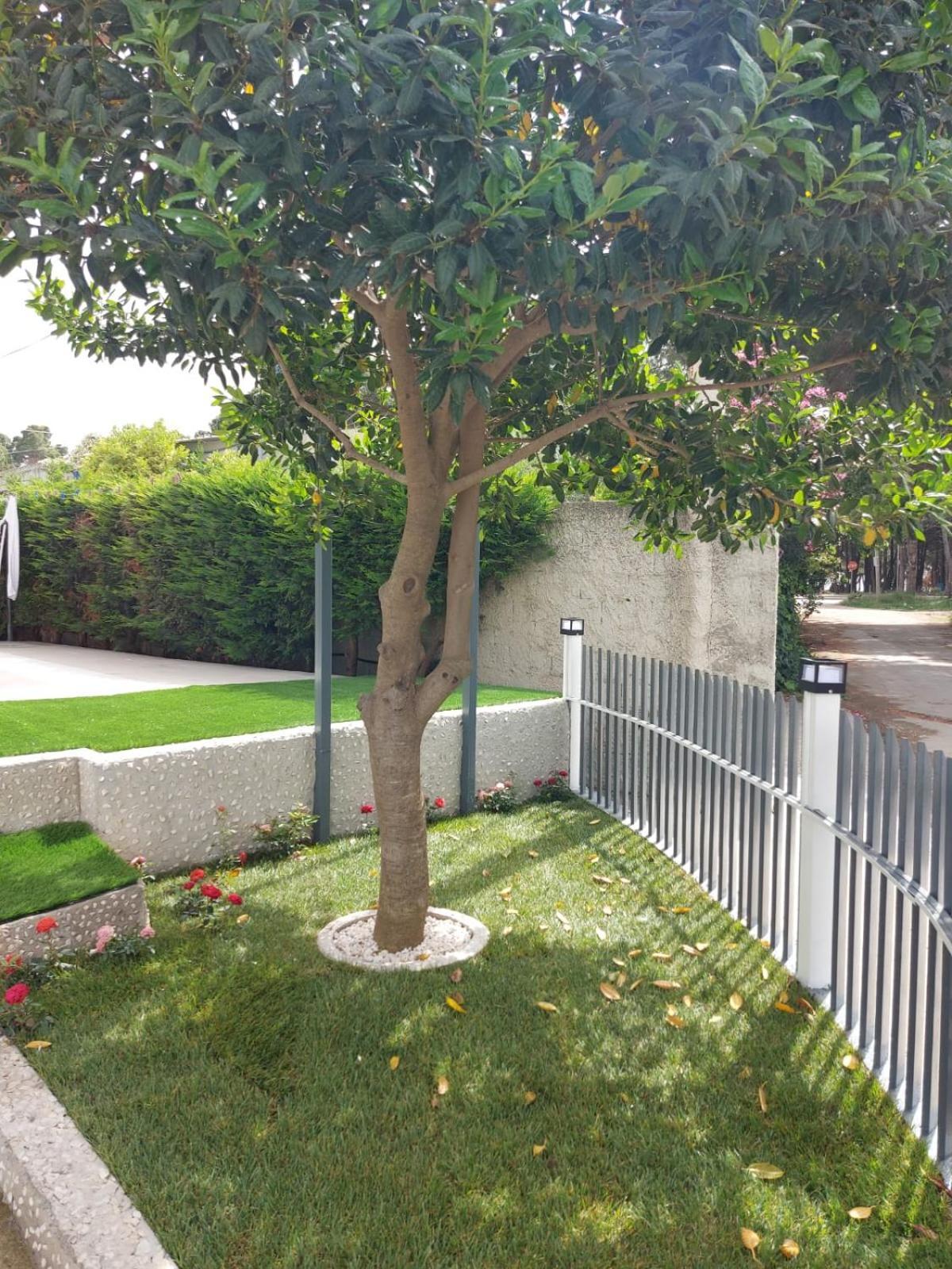 Vila Green Relax Vlore Exterior photo
